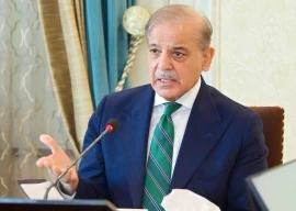 pakistan s mediation brings gaza ceasefire closer says pm shehbaz pakistan s mediation brings gaza ceasefire closer says pm shehbaz