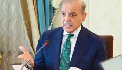 prime minister shehbaz sharif photo pid
