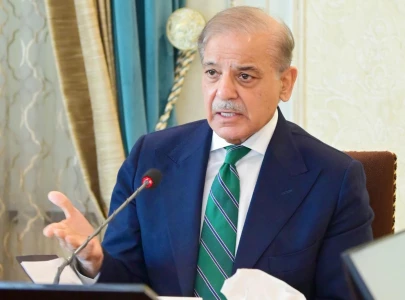 pakistan s mediation brings gaza ceasefire closer says pm shehbaz
