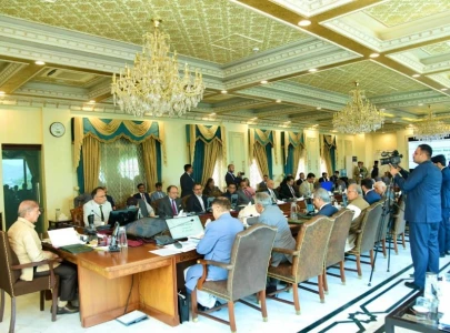 cabinet decides not to impose new duty on solar panels