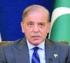 pm reviews task management system for soes pm reviews task management system for soes