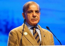 prime minister shehbaz sharif photo app file