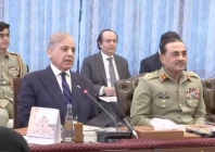 prime minister shehbaz sharif speaking during delegation level talks with iranian president masoud pezeshkian at the prime minister s house on tuesday screengrab