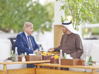 shehbaz pushes green agenda at dubai wgs