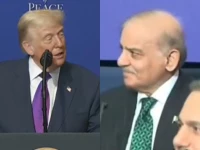 i like this guy trump praises pm shehbaz cdf munir at inaugural board of peace summit on gaza