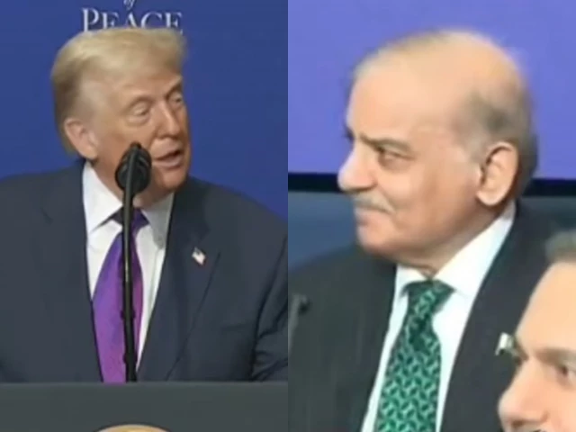 i like this guy trump praises pm shehbaz cdf munir at inaugural board of peace summit on gaza i like this guy trump praises pm shehbaz cdf munir at inaugural board of peace summit on gaza