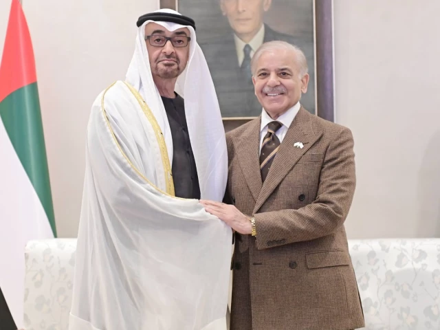 PM Shehbaz meets UAE President in Rahim Yar Khan amid Riyadh-Abu Dhabi row