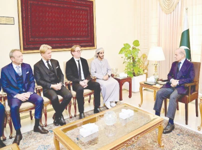 shehbaz welcomes uae investment shehbaz welcomes uae investment