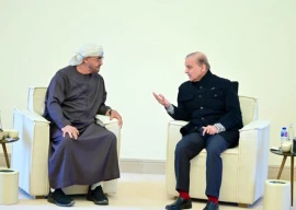 pakistan uae to strengthen ties with focus on trade energy