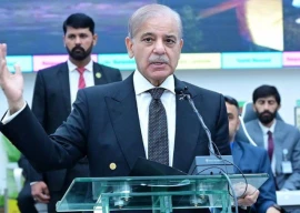 pm shehbaz reaches out to political leaders over rains flood crisis