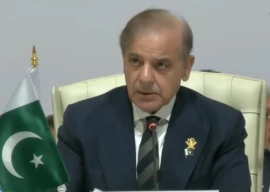 pak stance on palestine unchanged pm shehbaz pak stance on palestine unchanged pm shehbaz