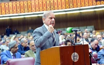 rein in terrorists we will support you pm shehbaz extends olive branch to afghanistan rein in terrorists we will support you pm shehbaz extends olive branch to afghanistan