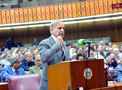 rein in terrorists we will support you pm shehbaz extends olive branch to afghanistan rein in terrorists we will support you pm shehbaz extends olive branch to afghanistan