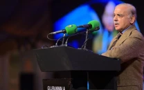 pm shehbaz praises punjab development projects says pml n set for historic results in next polls pm shehbaz praises punjab development projects says pml n set for historic results in next polls