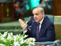 prime minister shehbaz sharif addresses the special of the federal cabinet in islamabad pakistan on march 4 2025 photo pid