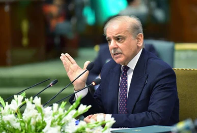 prime minister shehbaz sharif addresses the special of the federal cabinet in islamabad pakistan on march 4 2025 photo pid file