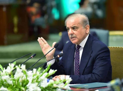 pm shehbaz reviews economic situation directs petroleum supply measures