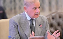 pm shehbaz reiterates islamabad s call for collective efforts to end middle east conflict