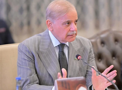 pm shehbaz reiterates islamabad s call for collective efforts to end middle east conflict
