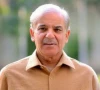 pm shehbaz sharif photo file