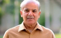 lahore court grants interim bail to pm s daughter son in law till may 7 in corruption case