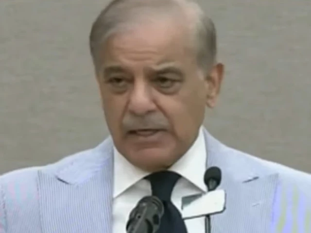 prime minister shehbaz sharif addresses the balochistan national workshop on august 21 2026 screengrab prime minister shehbaz sharif addresses the balochistan national workshop on august 21 2026 screengrab