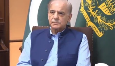 prime minister shehbaz sharif chairs a meeting in lahore regarding progress in relief and rehabilitation activities during the monsoon rains august 22 2026 screengrab
