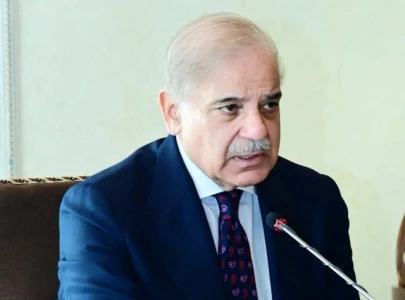 pm shehbaz urges biden to free aafia pm shehbaz urges biden to free aafia