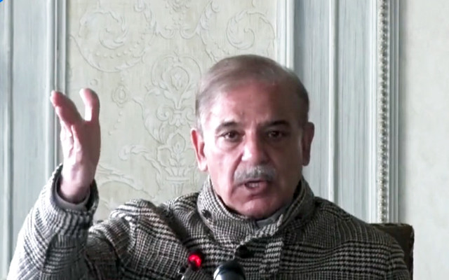 prime minister shehbaz sharif screebgrab