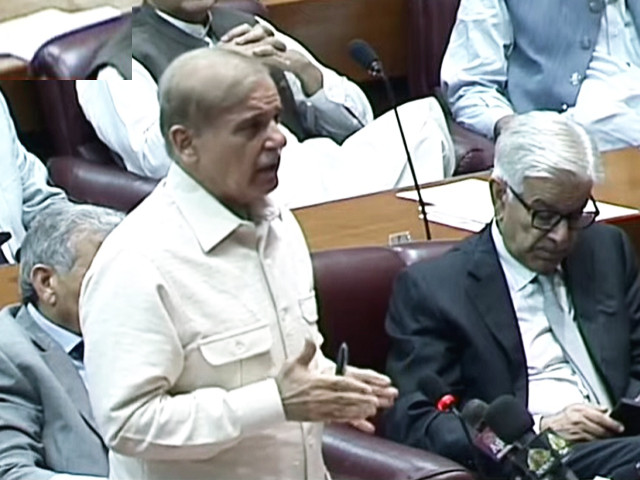 prime minister shehbaz sharif addressing a session of national assembly in islamabad on wednesday july 27 screengrab