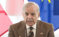 shehbaz sharif invites austrian businesses to invest in pakistan at vienna business forum