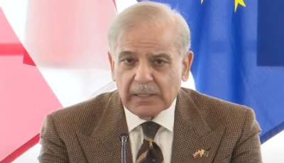 prime minister shehbaz sharif addresses the pakistan austria business forum in vienna on february 16 2026 screengrab