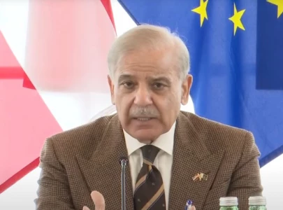 shehbaz sharif invites austrian businesses to invest in pakistan at vienna business forum