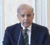 prime minister shehbaz sharif screengrab