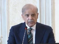 prime minister shehbaz sharif screengrab