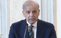 pakistan working tirelessly to ease middle east tensions pm shehbaz
