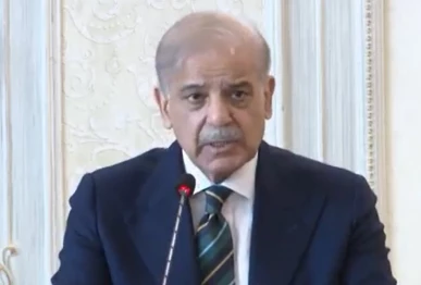 prime minister shehbaz sharif screengrab