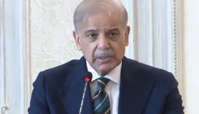 prime minister shehbaz sharif screengrab