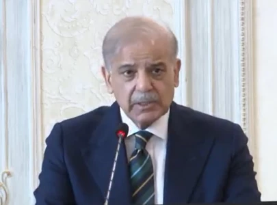 pakistan working tirelessly to ease middle east tensions pm shehbaz