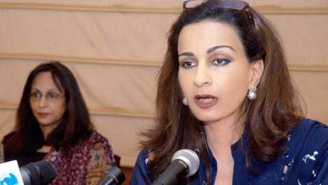 ppp issues show cause to sherry abbasi