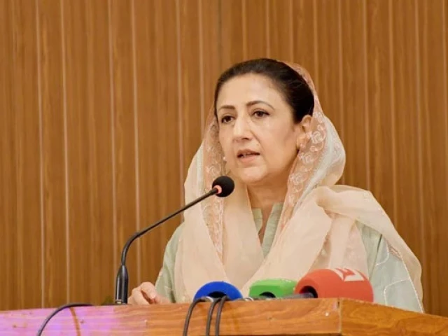 minister of state for climate change dr shezra mansab ali kharal photo app