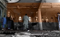 terror on capital s edge