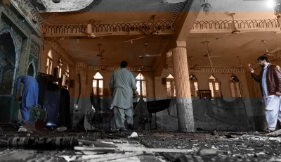 terror on capital s edge