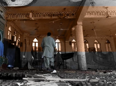 terror on capital s edge