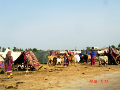 flood crisis descent into darkness flood crisis descent into darkness