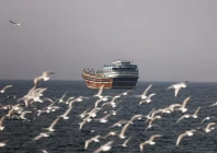 birds fly near a boat in the strait of hormuz amid the u s  israeli conflict with iran as seen from musandam oman march 2 2026 photo reuters