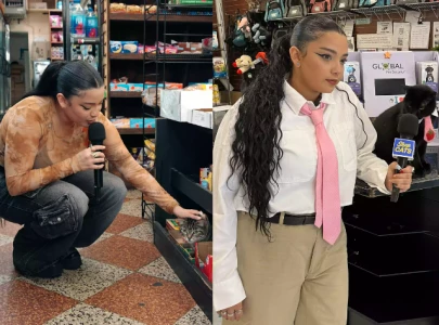 viral tiktok series highlights nyc s famous bodega cats capturing hearts online