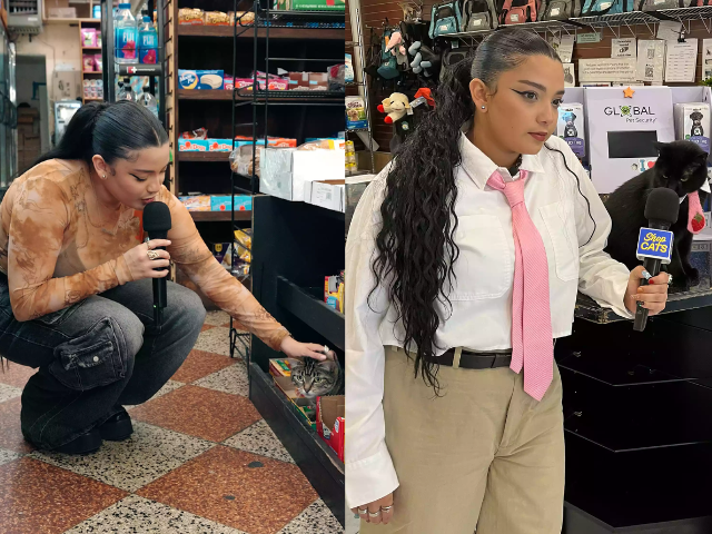 michelladonna with a cat in a bodega photo mad realities