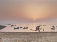 due to illegal and overfishing by trawlers within the 12 nautical mile zone the fisherfolk and their children are dying of hunger and are being burdened by heavy loans from loan sharks that they may never be able to pay throughout their lifetime photo file