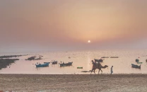 save fish wealth of coastal belt